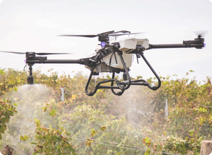 Harnessing the Power of Trichogramma Treatments with ABZ Innovation Drones