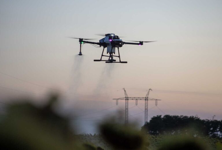 Presentation at the Dubai Expo Business Forum