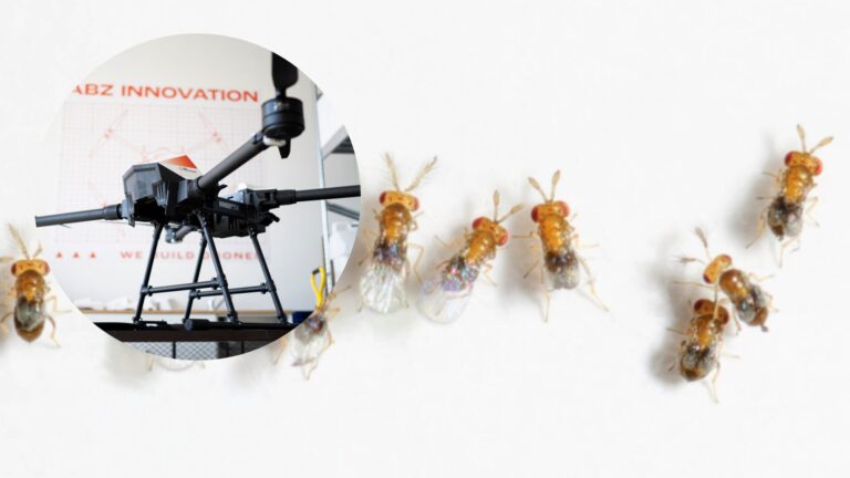 Integrating Trichogramma Wasps with ABZ Innovation Systems