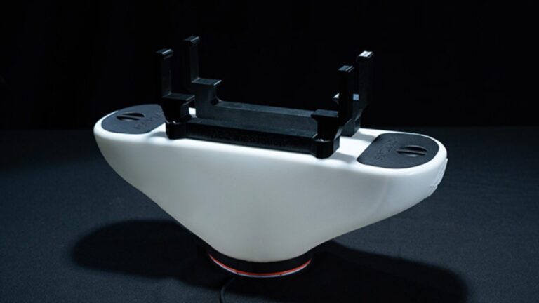 The Trichogramma Revolution in Biological Crop Protection