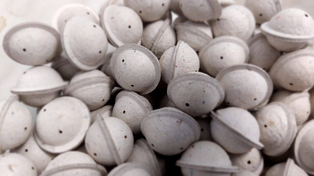 How to Safely Apply Trichogramma Capsules
