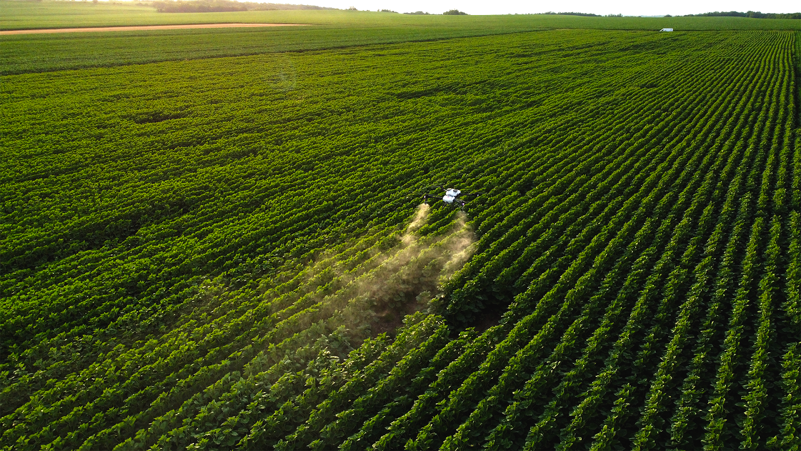 Preparing Crops for Drought: Preventive Treatments and Precision Drone Application