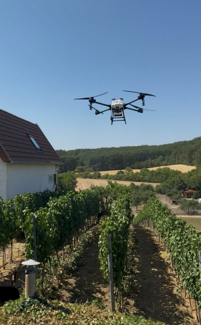 Spray Pattern Test in Vineyard with L50 Spraying Drone: Coverage Settings