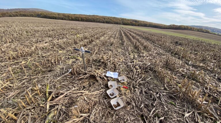The Silent Cry of Crops